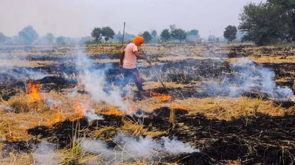 नरवाई जलाने पर लगा प्रतिबंध, पकड़े जाने पर ₹15,000 तक जुर्माना; 10 फरवरी 2027 तक लागू रहेंगे आदेश