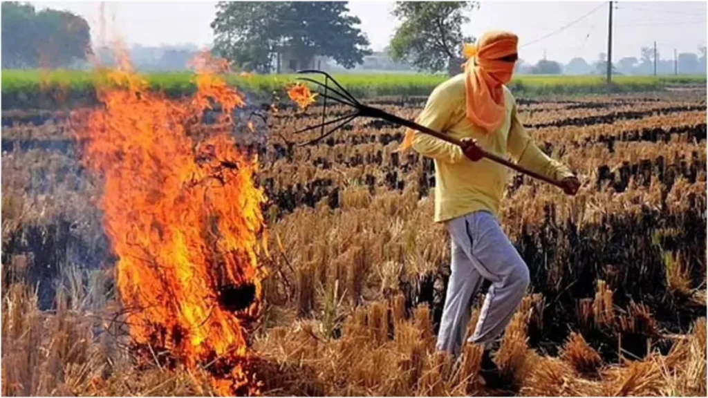 पराली जलाने की घटनाओं पर लगाम लगाने में क्यों नाकाम हो रहा प्रशासन? केंद्र ने राज्यों को दिए सख्त निर्देश पराली जलाने की घटनाओं पर लगाम लगाने में क्यों नाकाम हो रहा प्रशासन? केंद्र ने राज्यों को दिए सख्त निर्देश