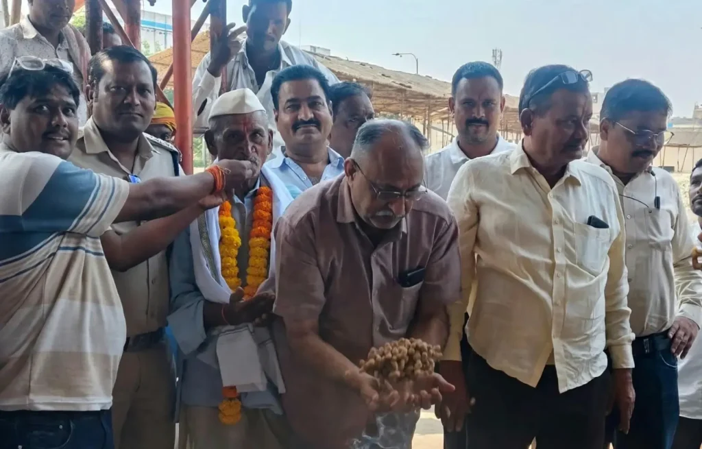 पांढुर्णा मंडी में नई मूंगफली की पहली ढेरी 11,111 रुपये प्रति क्विंटल में बिकी, जानें ताजा भाव पांढुर्णा मंडी में नई मूंगफली की पहली ढेरी 11,111 रुपये प्रति क्विंटल में बिकी, जानें ताजा भाव