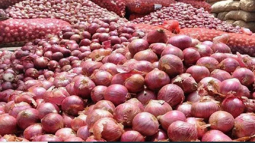प्याज की कीमतों में गिरावट, महाराष्ट्र की मंडियों में 13% तक सस्ता हुआ प्याज; जानें ताजा भाव प्याज की कीमतों में गिरावट, महाराष्ट्र की मंडियों में 13% तक सस्ता हुआ प्याज; जानें ताजा भाव
