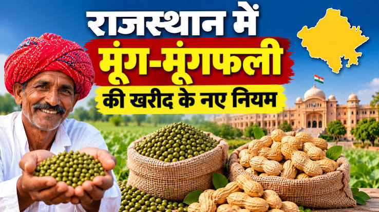 राजस्थान MSP खरीद: मूंग-मूंगफली की खरीद के नियम बदले, 1 नवंबर से शुरू होगी खरीद; जानें नया नियम मूंग-मूंगफली की खरीद के नियम बदले, 1 नवंबर से शुरू होगी खरीद; जानें नया नियम