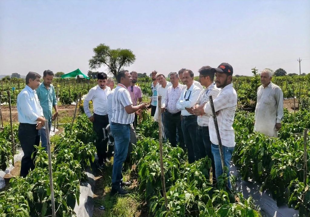 विदिशा में दो दिवसीय उद्यानिकी प्रशिक्षण संपन्न, किसानों को मिली आधुनिक खेती की जानकारी विदिशा में दो दिवसीय उद्यानिकी प्रशिक्षण संपन्न, किसानों को मिली आधुनिक खेती की जानकारी