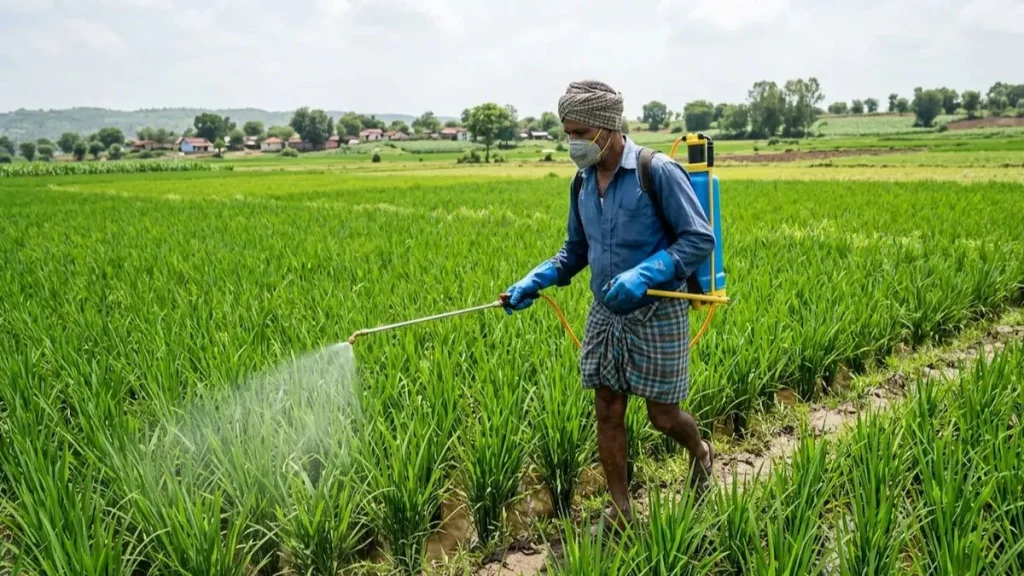 सीलबंद पैकिंग में मिसब्रांडेड कीटनाशक मिलने पर विक्रेता को राहत, हाईकोर्ट का बड़ा फैसला सीलबंद पैकिंग में मिसब्रांडेड कीटनाशक मिलने पर विक्रेता को राहत, हाईकोर्ट का बड़ा फैसला