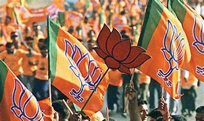 BJP Lock Sabha Election 2024