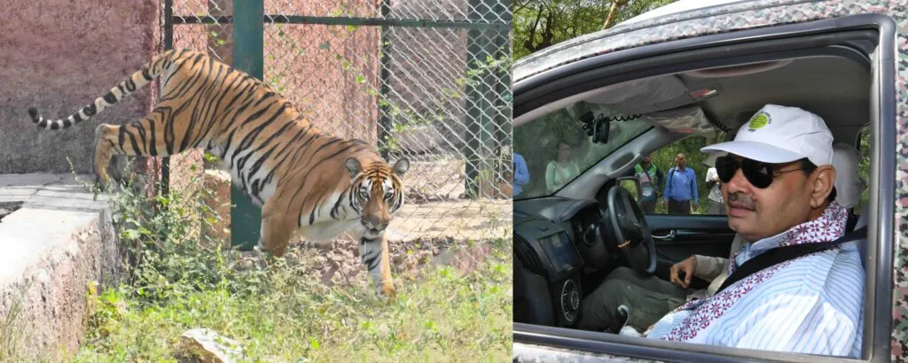 CM Sharma: मुख्यमंत्री ने किया नाहरगढ़ में टाइगर सफारी का लोकार्पण -टाइगर सफारी से पर्यटन के क्षेत्र में नई शुरूआत CM Sharma: मुख्यमंत्री ने किया नाहरगढ़ में टाइगर सफारी का लोकार्पण -टाइगर सफारी से पर्यटन के क्षेत्र में नई शुरूआत