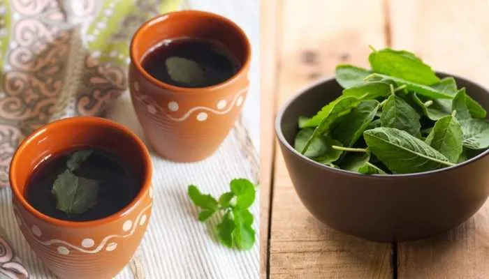 Black Tea and Tulsi Benefits: सर्दियों में अक्सर बीमार हो जाते हैं..।तुलसी और ब्लैक कॉफी का मिश्रण आपको हर समय मजबूत रखेगा Black Tea and Tulsi Benefits: सर्दियों में अक्सर बीमार हो जाते हैं..।तुलसी और ब्लैक कॉफी का मिश्रण आपको हर समय मजबूत रखेगा