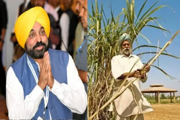 CM Bhagwant Mann का गन्ना किसानों को तोहफा, एसएपी में 10 रुपये की बढ़ोतरी CM Bhagwant Mann का गन्ना किसानों को तोहफा, एसएपी में 10 रुपये की बढ़ोतरी