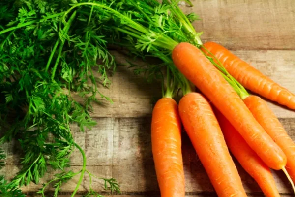 Carrot Benefits for Health: जब आप जानेंगे कि कच्चा गाजर खाने के कई लाभ हैं, तो आप हर दिन इसे खाने लगेंगे, आइए जानें इसके खाने के फायदे. 