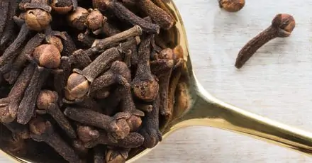 Clove Benifits: “लौंग एक, फायदे अनेक” यह चीज मसालों से लेकर सेहत तक के लिए अद्भुत Clove Benifits: