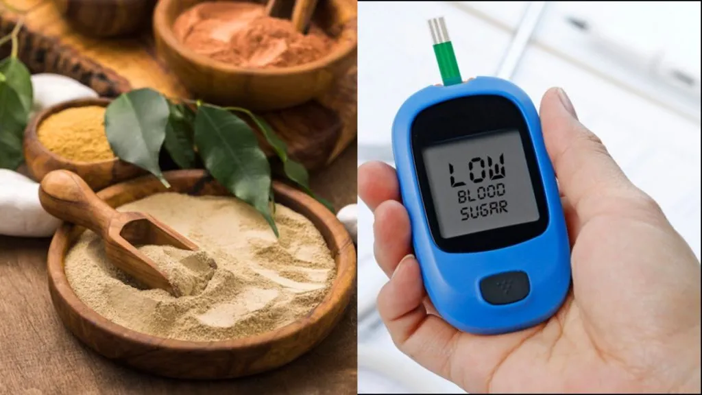 Diabetes Control Ayurvedic Remedies: डायबिटीज का देसी इलाज चाहते हैं तो आज ही इन चीजों को खाना शुरू करें Diabetes Control Ayurvedic Remedies: डायबिटीज का देसी इलाज चाहते हैं तो आज ही इन चीजों को खाना शुरू करें