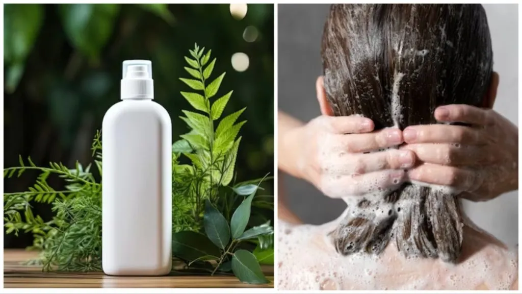 Homemade Shampoo Tricks: गर्मियों में बालों की देखभाल के लिए घर पर शैंपू बनाने के लिए इन टिप्स को अपनाएं Homemade Shampoo Tricks: गर्मियों में बालों की देखभाल के लिए घर पर शैंपू बनाने के लिए इन टिप्स को अपनाएं