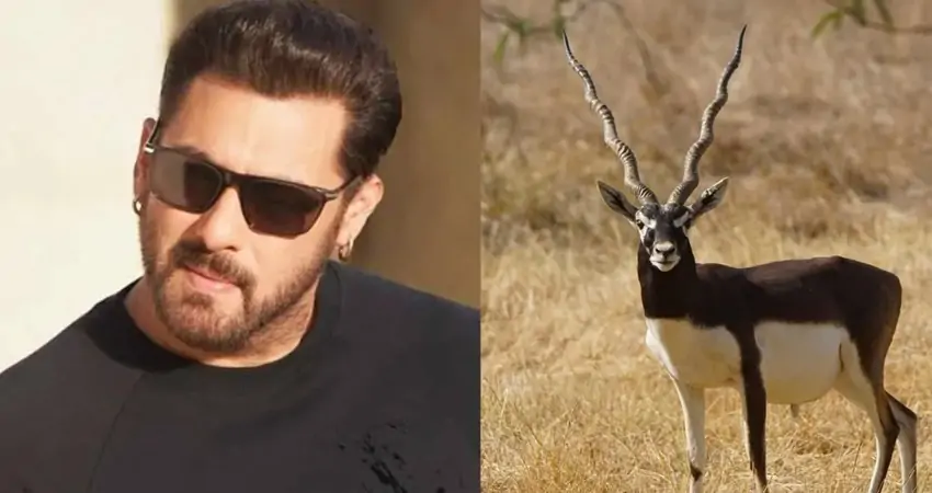 Salman Khan 26 जुलाई को काला हिरण शिकार मामले में हाईकोर्ट में पेश होंगे।