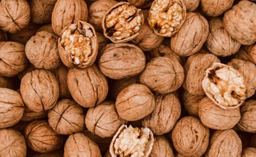 अखरोट खाने का सही समय और तरीका: जानिए कैसे पाएं इसके बेस्ट फायदे अखरोट खाने का सही समय और तरीका: जानिए कैसे पाएं इसके बेस्ट फायदे