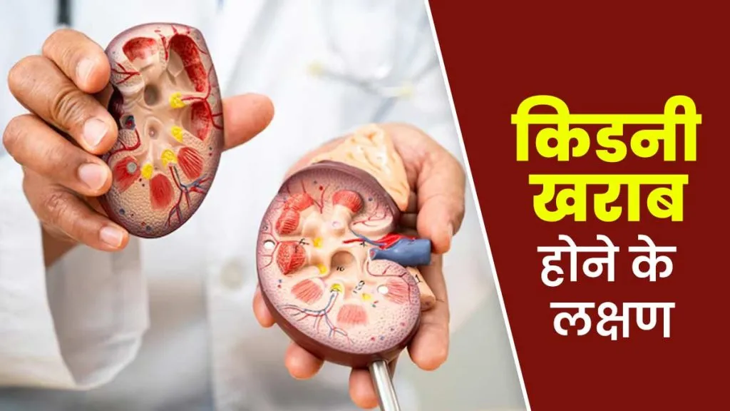 Kidney Damage Symptoms: इन संकेतों को न करें नजरअंदाज, किडनी फेल होने की हो सकती है शुरुआत