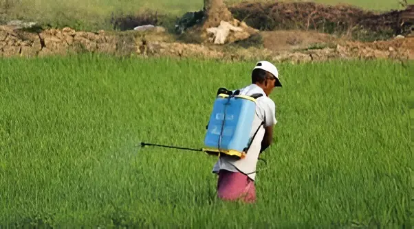 किसान हित सरकार की सर्वोच्च प्राथमिकता, हर नुकसान की भरपाई कर रही सरकार: मुख्यमंत्री नायब सिंह सैनी
