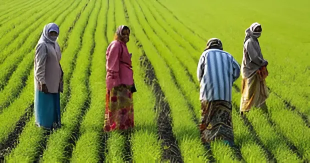 प्राकृतिक खेती भारत की परंपरा, किसान एक एकड़ से करें शुरुआत: कृषि मंत्री