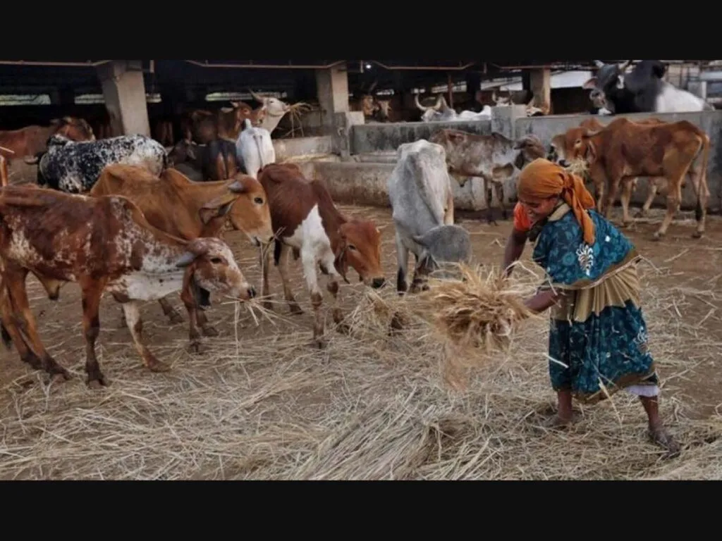राइट टू सर्विस एक्ट के तहत पशुपालन एवं डेयरी विभाग की सेवाओं में बड़ा बदलाव, दो नई सेवाएं अधिसूचित